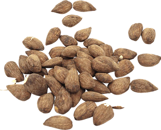 Almonds with Tamari in bulk Organic