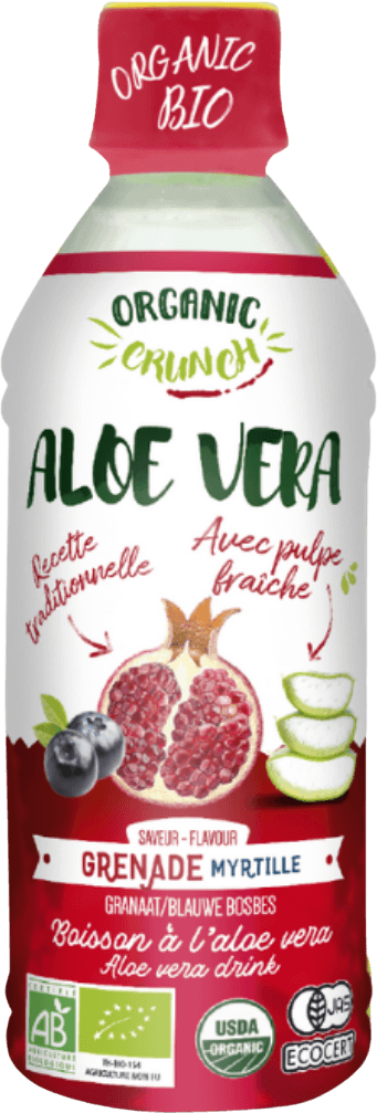 Aloe Vera Drink Pomegranate Blueberry