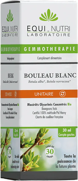 Bouleau Blanc Détox & Drainage