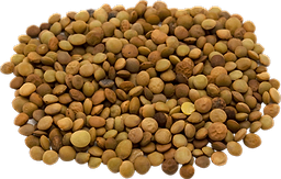 Brown Lentils in bulk