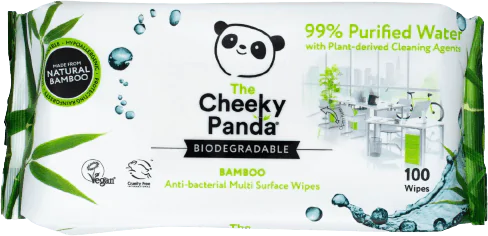 Biodegradable Anti-Bacterial Wipes X100