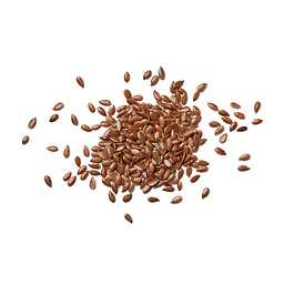 Brown Flaxseeds in bulk Organic