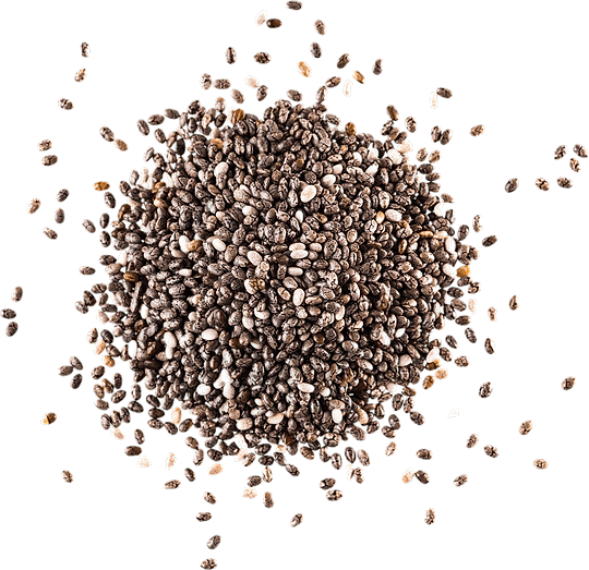 Black Chia Seeds in bulk