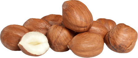 Hazelnuts in bulk