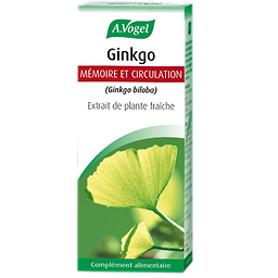 Ginkgo Fresh Plant Extract