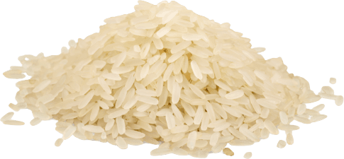 Basmati White Rice in bulk Organic