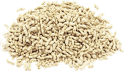 Pea protein granules in bulk Organic
