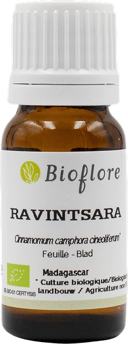 Essential Oil Ravintsara Organic