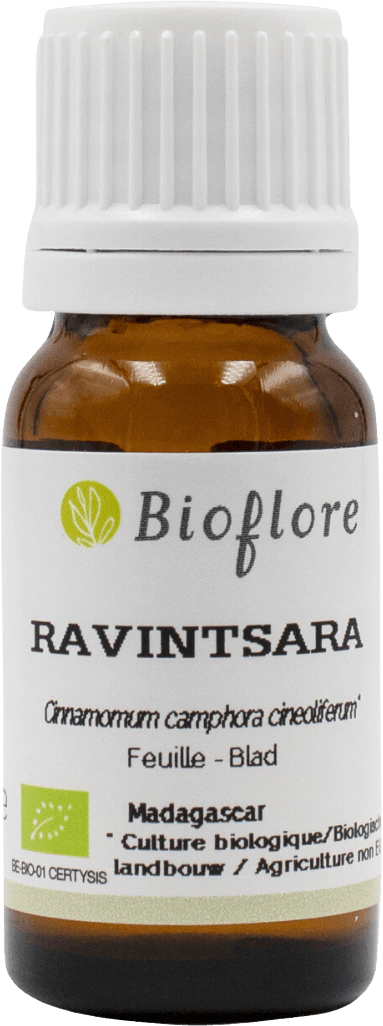Essential Oil Ravintsara Organic