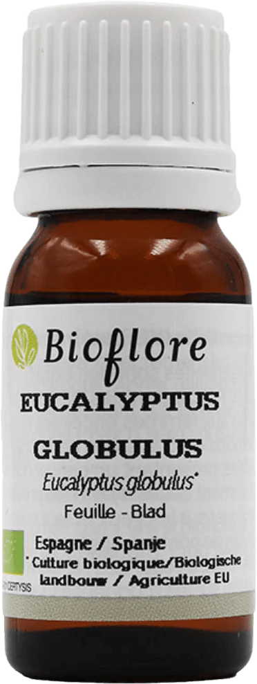 Huile Essentielle Eucalyptus Globulus