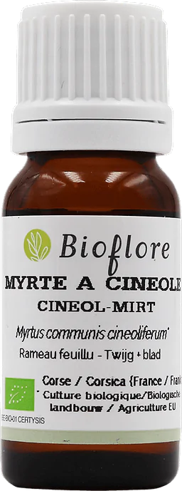 Groene Myrtle bij Cineole essentiële olie