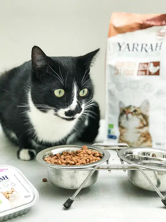 Cat Cereal-Free Kibbles Organic