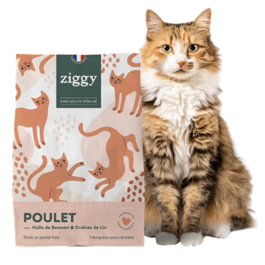 Cat Food Chicken Cereal Free Sterilized Cat