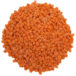 Red Lentils in bulk Organic