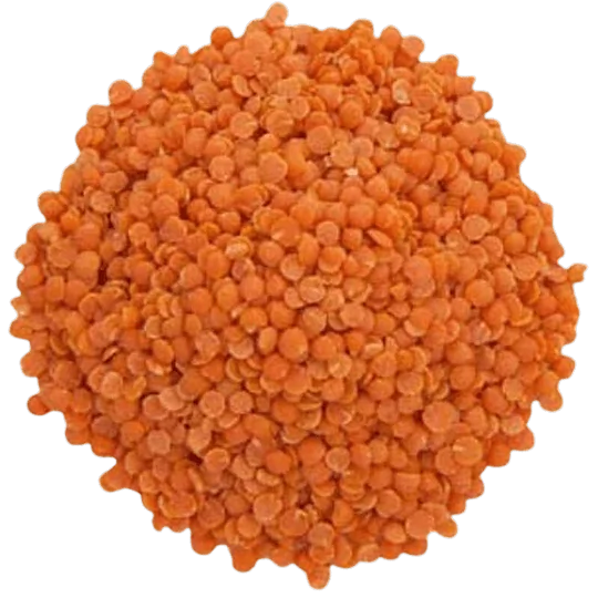 Red Lentils in bulk Organic