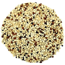 Driekleurige Quinoa in bulk
