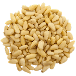 Pine Nuts in bulk