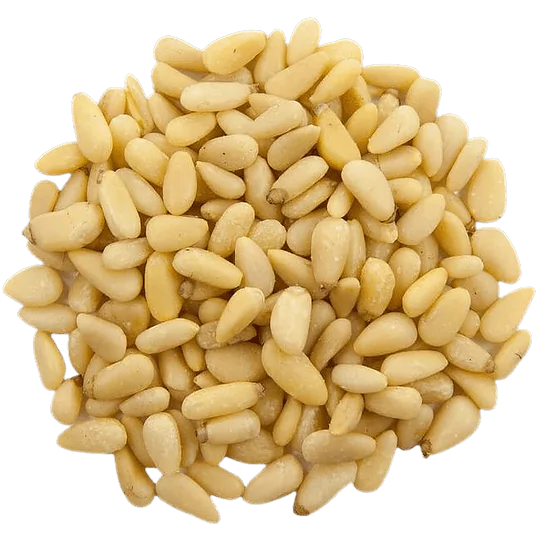 Pine Nuts in bulk