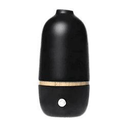 Diffuser of essential oils by nebulization black