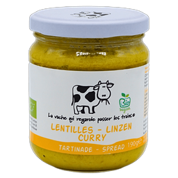 Tartinade Lentilles Curry Bio