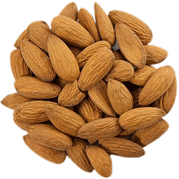 Raw Almonds in Bulk Organic