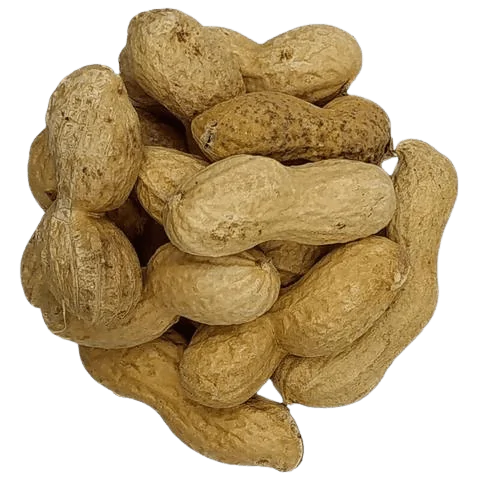 Cacahuètes en Coque Grillées en Vrac