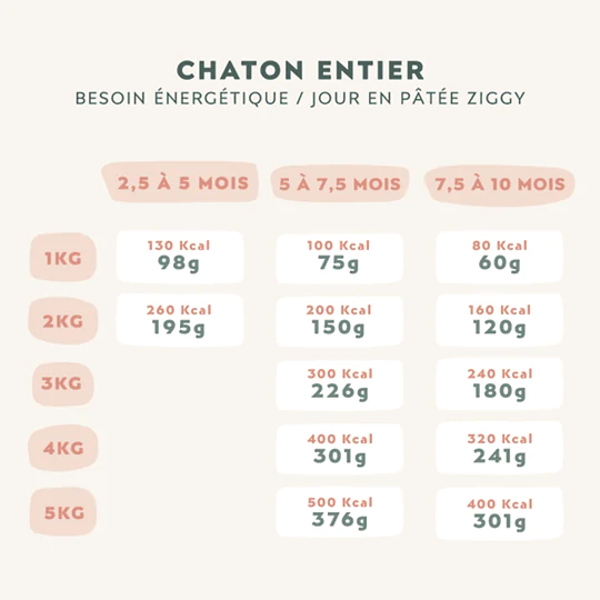 Pack Pâtée Chaton Boeuf