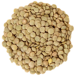 Green Lentils in bulk Organic