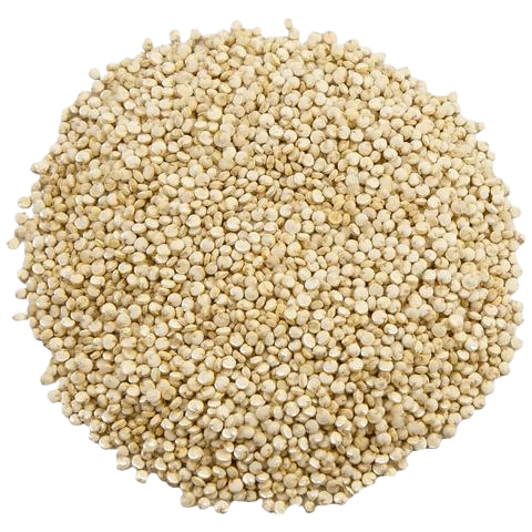 Witte Quinoa Oorsprong Frankrijk in bulk