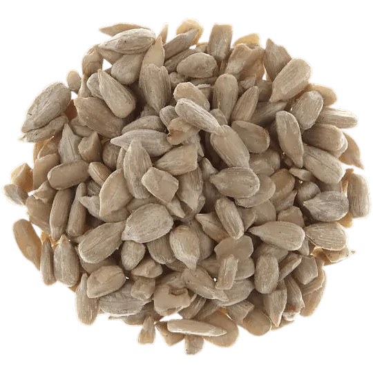 Sunflower Seeds in bulk Organic