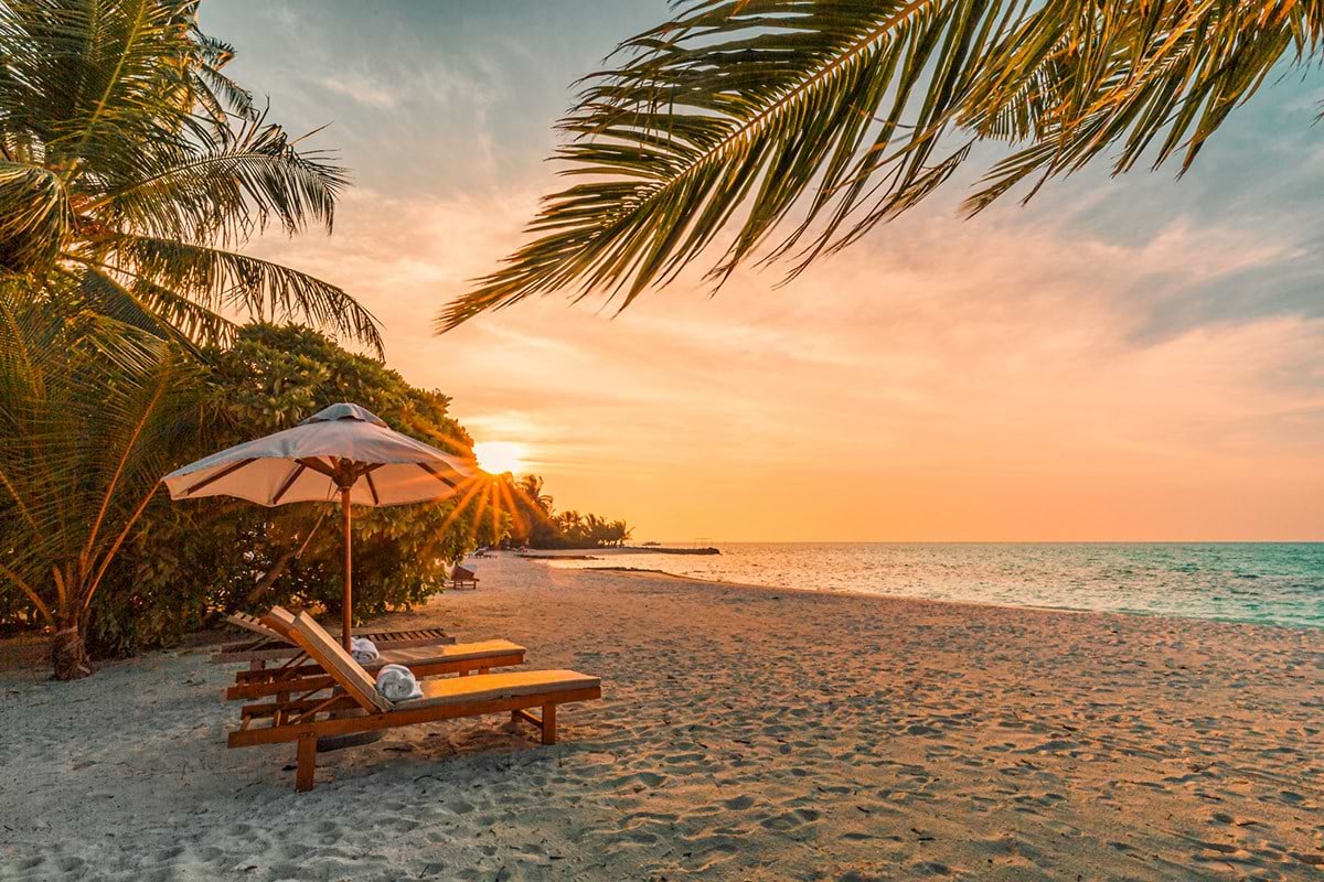 Beach chair on the beach during the sunset.
