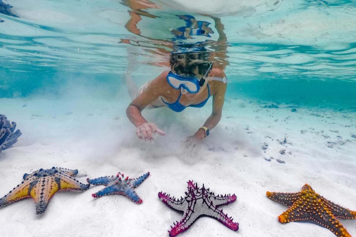 Cozumel Snorkeling