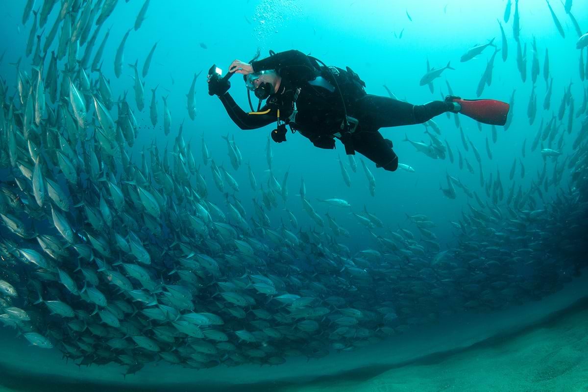 Image of scuba diver during a shore excursion.
