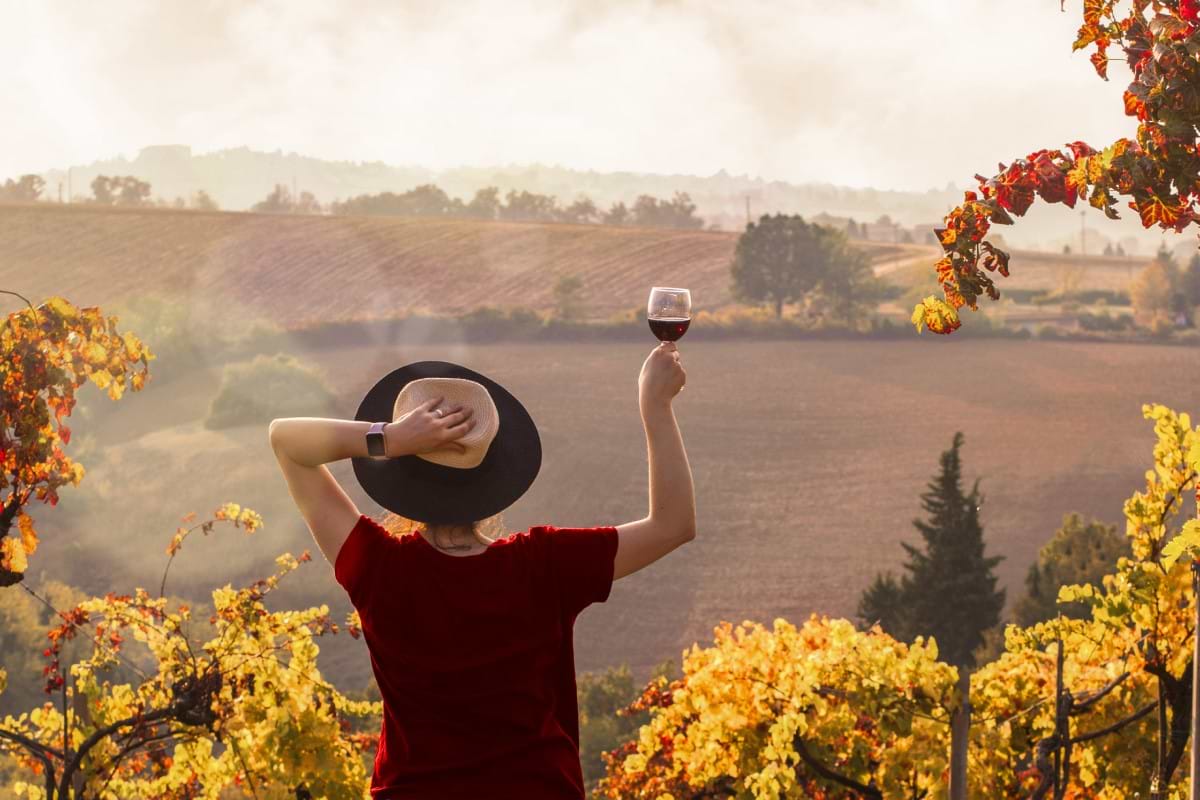 Le Castellet Tour with Winery Visit